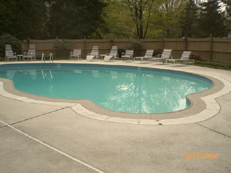 Fully Restored Concrete Pool