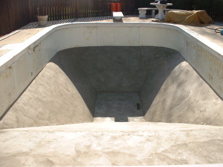 Vermiculite Bottom